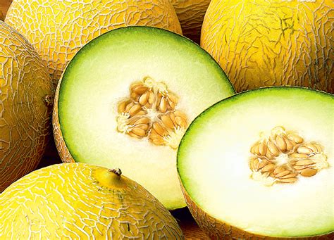 melons tibe|Types of Melons: Different Melon Varieties With Pictures and Names